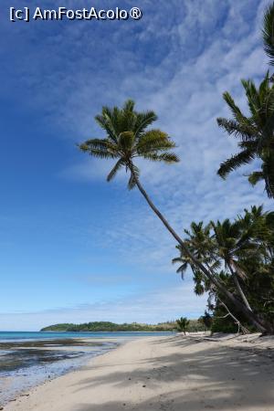 [P13] plaja Coconut Beach Resort » foto by dop.tirbuson
 - 
<span class="allrVoted glyphicon glyphicon-heart hidden" id="av1529655"></span>
<a class="m-l-10 hidden" id="sv1529655" onclick="voting_Foto_DelVot(,1529655,29335)" role="button">șterge vot <span class="glyphicon glyphicon-remove"></span></a>
<a id="v91529655" class=" c-red"  onclick="voting_Foto_SetVot(1529655)" role="button"><span class="glyphicon glyphicon-heart-empty"></span> <b>LIKE</b> = Votează poza</a> <img class="hidden"  id="f1529655W9" src="/imagini/loader.gif" border="0" /><span class="AjErrMes hidden" id="e1529655ErM"></span>