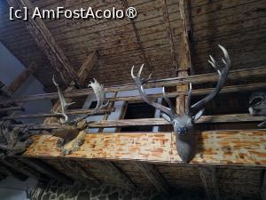 [P20] Căsuțele din Pădure; sala de mese » foto by crismis
 - 
<span class="allrVoted glyphicon glyphicon-heart hidden" id="av1530167"></span>
<a class="m-l-10 hidden" id="sv1530167" onclick="voting_Foto_DelVot(,1530167,29343)" role="button">șterge vot <span class="glyphicon glyphicon-remove"></span></a>
<a id="v91530167" class=" c-red"  onclick="voting_Foto_SetVot(1530167)" role="button"><span class="glyphicon glyphicon-heart-empty"></span> <b>LIKE</b> = Votează poza</a> <img class="hidden"  id="f1530167W9" src="/imagini/loader.gif" border="0" /><span class="AjErrMes hidden" id="e1530167ErM"></span>