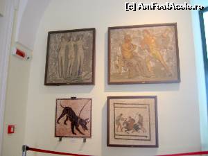 [P17] Mozaicuri descoperite la Pompei şi Herculaneum. Cele trei graţii, animal, scenă mitologică şi de luptă » foto by Michi
 - 
<span class="allrVoted glyphicon glyphicon-heart hidden" id="av563166"></span>
<a class="m-l-10 hidden" id="sv563166" onclick="voting_Foto_DelVot(,563166,29347)" role="button">șterge vot <span class="glyphicon glyphicon-remove"></span></a>
<a id="v9563166" class=" c-red"  onclick="voting_Foto_SetVot(563166)" role="button"><span class="glyphicon glyphicon-heart-empty"></span> <b>LIKE</b> = Votează poza</a> <img class="hidden"  id="f563166W9" src="/imagini/loader.gif" border="0" /><span class="AjErrMes hidden" id="e563166ErM"></span>
