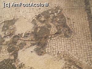 [P15] Muzeul Național de Arheologie, Napoli. Reprezentarea calului din mozaicul &bdquo;Car de luptă&rdquo; » foto by mihaelavoicu
 - 
<span class="allrVoted glyphicon glyphicon-heart hidden" id="av1188229"></span>
<a class="m-l-10 hidden" id="sv1188229" onclick="voting_Foto_DelVot(,1188229,29347)" role="button">șterge vot <span class="glyphicon glyphicon-remove"></span></a>
<a id="v91188229" class=" c-red"  onclick="voting_Foto_SetVot(1188229)" role="button"><span class="glyphicon glyphicon-heart-empty"></span> <b>LIKE</b> = Votează poza</a> <img class="hidden"  id="f1188229W9" src="/imagini/loader.gif" border="0" /><span class="AjErrMes hidden" id="e1188229ErM"></span>