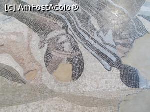 [P04] Muzeul Național de Arheologie, Napoli. Mozaic cu Lupta de la Issis 333 &icirc;.Hr. Detaliu copită cal. » foto by mihaelavoicu
 - 
<span class="allrVoted glyphicon glyphicon-heart hidden" id="av1188218"></span>
<a class="m-l-10 hidden" id="sv1188218" onclick="voting_Foto_DelVot(,1188218,29347)" role="button">șterge vot <span class="glyphicon glyphicon-remove"></span></a>
<a id="v91188218" class=" c-red"  onclick="voting_Foto_SetVot(1188218)" role="button"><span class="glyphicon glyphicon-heart-empty"></span> <b>LIKE</b> = Votează poza</a> <img class="hidden"  id="f1188218W9" src="/imagini/loader.gif" border="0" /><span class="AjErrMes hidden" id="e1188218ErM"></span>