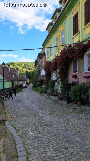 [P19] Sighișoara » foto by laura mihaela
 - 
<span class="allrVoted glyphicon glyphicon-heart hidden" id="av1531075"></span>
<a class="m-l-10 hidden" id="sv1531075" onclick="voting_Foto_DelVot(,1531075,29350)" role="button">șterge vot <span class="glyphicon glyphicon-remove"></span></a>
<a id="v91531075" class=" c-red"  onclick="voting_Foto_SetVot(1531075)" role="button"><span class="glyphicon glyphicon-heart-empty"></span> <b>LIKE</b> = Votează poza</a> <img class="hidden"  id="f1531075W9" src="/imagini/loader.gif" border="0" /><span class="AjErrMes hidden" id="e1531075ErM"></span>