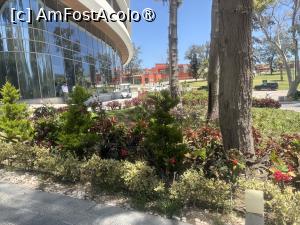 [P06] Rixos Montaza Alexandria - în faţa hotelului » foto by nicole33
 - 
<span class="allrVoted glyphicon glyphicon-heart hidden" id="av1545929"></span>
<a class="m-l-10 hidden" id="sv1545929" onclick="voting_Foto_DelVot(,1545929,29398)" role="button">șterge vot <span class="glyphicon glyphicon-remove"></span></a>
<a id="v91545929" class=" c-red"  onclick="voting_Foto_SetVot(1545929)" role="button"><span class="glyphicon glyphicon-heart-empty"></span> <b>LIKE</b> = Votează poza</a> <img class="hidden"  id="f1545929W9" src="/imagini/loader.gif" border="0" /><span class="AjErrMes hidden" id="e1545929ErM"></span>