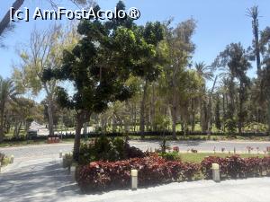 [P07] Rixos Montaza Alexandria - în faţă la Nariman » foto by nicole33
 - 
<span class="allrVoted glyphicon glyphicon-heart hidden" id="av1545930"></span>
<a class="m-l-10 hidden" id="sv1545930" onclick="voting_Foto_DelVot(,1545930,29398)" role="button">șterge vot <span class="glyphicon glyphicon-remove"></span></a>
<a id="v91545930" class=" c-red"  onclick="voting_Foto_SetVot(1545930)" role="button"><span class="glyphicon glyphicon-heart-empty"></span> <b>LIKE</b> = Votează poza</a> <img class="hidden"  id="f1545930W9" src="/imagini/loader.gif" border="0" /><span class="AjErrMes hidden" id="e1545930ErM"></span>