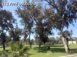 [P85] Rixos Montaza Alexandria - prin resort » foto by nicole33
 - 
<span class="allrVoted glyphicon glyphicon-heart hidden" id="av1546008"></span>
<a class="m-l-10 hidden" id="sv1546008" onclick="voting_Foto_DelVot(,1546008,29398)" role="button">șterge vot <span class="glyphicon glyphicon-remove"></span></a>
<a id="v91546008" class=" c-red"  onclick="voting_Foto_SetVot(1546008)" role="button"><span class="glyphicon glyphicon-heart-empty"></span> <b>LIKE</b> = Votează poza</a> <img class="hidden"  id="f1546008W9" src="/imagini/loader.gif" border="0" /><span class="AjErrMes hidden" id="e1546008ErM"></span>