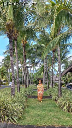 [P25] Dinarobin Beachcomber » foto by elenaadina
 - 
<span class="allrVoted glyphicon glyphicon-heart hidden" id="av1537407"></span>
<a class="m-l-10 hidden" id="sv1537407" onclick="voting_Foto_DelVot(,1537407,29403)" role="button">șterge vot <span class="glyphicon glyphicon-remove"></span></a>
<a id="v91537407" class=" c-red"  onclick="voting_Foto_SetVot(1537407)" role="button"><span class="glyphicon glyphicon-heart-empty"></span> <b>LIKE</b> = Votează poza</a> <img class="hidden"  id="f1537407W9" src="/imagini/loader.gif" border="0" /><span class="AjErrMes hidden" id="e1537407ErM"></span>
