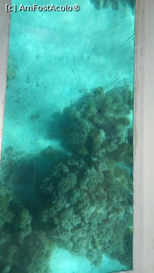 [P44] Dinarobin Beachcomber , pe barca cu fundul de sticla » foto by elenaadina
 - 
<span class="allrVoted glyphicon glyphicon-heart hidden" id="av1537426"></span>
<a class="m-l-10 hidden" id="sv1537426" onclick="voting_Foto_DelVot(,1537426,29403)" role="button">șterge vot <span class="glyphicon glyphicon-remove"></span></a>
<a id="v91537426" class=" c-red"  onclick="voting_Foto_SetVot(1537426)" role="button"><span class="glyphicon glyphicon-heart-empty"></span> <b>LIKE</b> = Votează poza</a> <img class="hidden"  id="f1537426W9" src="/imagini/loader.gif" border="0" /><span class="AjErrMes hidden" id="e1537426ErM"></span>
