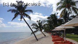 [P66] Dinarobin Beachcomber , plaja » foto by elenaadina
 - 
<span class="allrVoted glyphicon glyphicon-heart hidden" id="av1537448"></span>
<a class="m-l-10 hidden" id="sv1537448" onclick="voting_Foto_DelVot(,1537448,29403)" role="button">șterge vot <span class="glyphicon glyphicon-remove"></span></a>
<a id="v91537448" class=" c-red"  onclick="voting_Foto_SetVot(1537448)" role="button"><span class="glyphicon glyphicon-heart-empty"></span> <b>LIKE</b> = Votează poza</a> <img class="hidden"  id="f1537448W9" src="/imagini/loader.gif" border="0" /><span class="AjErrMes hidden" id="e1537448ErM"></span>