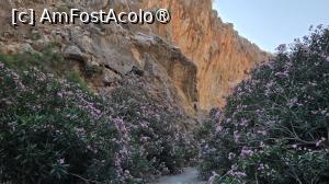 [P23] Poteca brodata de leandri » foto by miha48
 - 
<span class="allrVoted glyphicon glyphicon-heart hidden" id="av1538235"></span>
<a class="m-l-10 hidden" id="sv1538235" onclick="voting_Foto_DelVot(,1538235,29406)" role="button">șterge vot <span class="glyphicon glyphicon-remove"></span></a>
<a id="v91538235" class=" c-red"  onclick="voting_Foto_SetVot(1538235)" role="button"><span class="glyphicon glyphicon-heart-empty"></span> <b>LIKE</b> = Votează poza</a> <img class="hidden"  id="f1538235W9" src="/imagini/loader.gif" border="0" /><span class="AjErrMes hidden" id="e1538235ErM"></span>