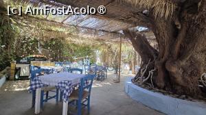 [P30] Superba taverna Potamida si tamarixul secular » foto by miha48
 - 
<span class="allrVoted glyphicon glyphicon-heart hidden" id="av1538242"></span>
<a class="m-l-10 hidden" id="sv1538242" onclick="voting_Foto_DelVot(,1538242,29406)" role="button">șterge vot <span class="glyphicon glyphicon-remove"></span></a>
<a id="v91538242" class=" c-red"  onclick="voting_Foto_SetVot(1538242)" role="button"><span class="glyphicon glyphicon-heart-empty"></span> <b>LIKE</b> = Votează poza</a> <img class="hidden"  id="f1538242W9" src="/imagini/loader.gif" border="0" /><span class="AjErrMes hidden" id="e1538242ErM"></span>