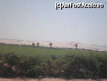 [P02] culturi in desert, multumita raurilor subterane care vin din Anzii Vestici, si nu mai ajung in ocean, din locul in care se strang peruanii au facut sisteme de irigatii » foto by grecudoina
 - 
<span class="allrVoted glyphicon glyphicon-heart hidden" id="av399252"></span>
<a class="m-l-10 hidden" id="sv399252" onclick="voting_Foto_DelVot(,399252,29418)" role="button">șterge vot <span class="glyphicon glyphicon-remove"></span></a>
<a id="v9399252" class=" c-red"  onclick="voting_Foto_SetVot(399252)" role="button"><span class="glyphicon glyphicon-heart-empty"></span> <b>LIKE</b> = Votează poza</a> <img class="hidden"  id="f399252W9" src="/imagini/loader.gif" border="0" /><span class="AjErrMes hidden" id="e399252ErM"></span>