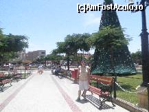 [P48] in parcul central din Nasca, acum dupa ce am stat in hotel 1 h, am putut pleca la drum si dupa ce am lasat bagajul in autogara, am facut un tur de oras cu ghida » foto by grecudoina
 - 
<span class="allrVoted glyphicon glyphicon-heart hidden" id="av399298"></span>
<a class="m-l-10 hidden" id="sv399298" onclick="voting_Foto_DelVot(,399298,29418)" role="button">șterge vot <span class="glyphicon glyphicon-remove"></span></a>
<a id="v9399298" class=" c-red"  onclick="voting_Foto_SetVot(399298)" role="button"><span class="glyphicon glyphicon-heart-empty"></span> <b>LIKE</b> = Votează poza</a> <img class="hidden"  id="f399298W9" src="/imagini/loader.gif" border="0" /><span class="AjErrMes hidden" id="e399298ErM"></span>
