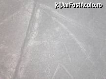 [P07] paianjenul, in partea de jos se vede figura » foto by grecudoina
 - 
<span class="allrVoted glyphicon glyphicon-heart hidden" id="av406918"></span>
<a class="m-l-10 hidden" id="sv406918" onclick="voting_Foto_DelVot(,406918,29418)" role="button">șterge vot <span class="glyphicon glyphicon-remove"></span></a>
<a id="v9406918" class=" c-red"  onclick="voting_Foto_SetVot(406918)" role="button"><span class="glyphicon glyphicon-heart-empty"></span> <b>LIKE</b> = Votează poza</a> <img class="hidden"  id="f406918W9" src="/imagini/loader.gif" border="0" /><span class="AjErrMes hidden" id="e406918ErM"></span>