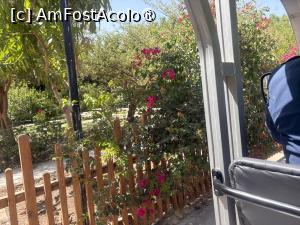 [P16] Rixos Premium Magawish Bay View - Organic Farm » foto by nicole33
 - 
<span class="allrVoted glyphicon glyphicon-heart hidden" id="av1539310"></span>
<a class="m-l-10 hidden" id="sv1539310" onclick="voting_Foto_DelVot(,1539310,29419)" role="button">șterge vot <span class="glyphicon glyphicon-remove"></span></a>
<a id="v91539310" class=" c-red"  onclick="voting_Foto_SetVot(1539310)" role="button"><span class="glyphicon glyphicon-heart-empty"></span> <b>LIKE</b> = Votează poza</a> <img class="hidden"  id="f1539310W9" src="/imagini/loader.gif" border="0" /><span class="AjErrMes hidden" id="e1539310ErM"></span>
