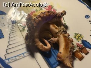 [P61] Rixos Premium Magawish Bay View - Mykonos- octopus » foto by nicole33
 - 
<span class="allrVoted glyphicon glyphicon-heart hidden" id="av1539355"></span>
<a class="m-l-10 hidden" id="sv1539355" onclick="voting_Foto_DelVot(,1539355,29419)" role="button">șterge vot <span class="glyphicon glyphicon-remove"></span></a>
<a id="v91539355" class=" c-red"  onclick="voting_Foto_SetVot(1539355)" role="button"><span class="glyphicon glyphicon-heart-empty"></span> <b>LIKE</b> = Votează poza</a> <img class="hidden"  id="f1539355W9" src="/imagini/loader.gif" border="0" /><span class="AjErrMes hidden" id="e1539355ErM"></span>