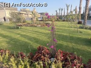 [P96] Rixos Premium Magawish Bay View - prin resort » foto by nicole33
 - 
<span class="allrVoted glyphicon glyphicon-heart hidden" id="av1539390"></span>
<a class="m-l-10 hidden" id="sv1539390" onclick="voting_Foto_DelVot(,1539390,29419)" role="button">șterge vot <span class="glyphicon glyphicon-remove"></span></a>
<a id="v91539390" class=" c-red"  onclick="voting_Foto_SetVot(1539390)" role="button"><span class="glyphicon glyphicon-heart-empty"></span> <b>LIKE</b> = Votează poza</a> <img class="hidden"  id="f1539390W9" src="/imagini/loader.gif" border="0" /><span class="AjErrMes hidden" id="e1539390ErM"></span>