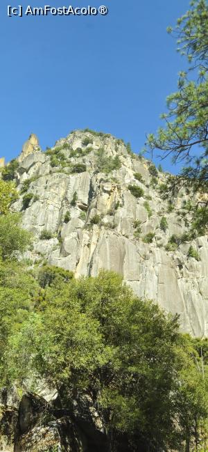 [P01] Frumusetea rezervației naturale Yosemite » foto by kmy
 - 
<span class="allrVoted glyphicon glyphicon-heart hidden" id="av1542611"></span>
<a class="m-l-10 hidden" id="sv1542611" onclick="voting_Foto_DelVot(,1542611,29438)" role="button">șterge vot <span class="glyphicon glyphicon-remove"></span></a>
<a id="v91542611" class=" c-red"  onclick="voting_Foto_SetVot(1542611)" role="button"><span class="glyphicon glyphicon-heart-empty"></span> <b>LIKE</b> = Votează poza</a> <img class="hidden"  id="f1542611W9" src="/imagini/loader.gif" border="0" /><span class="AjErrMes hidden" id="e1542611ErM"></span>