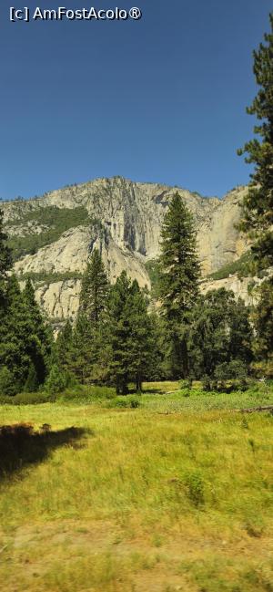 [P12] Frumusetea rezervației naturale Yosemite » foto by kmy
 - 
<span class="allrVoted glyphicon glyphicon-heart hidden" id="av1542622"></span>
<a class="m-l-10 hidden" id="sv1542622" onclick="voting_Foto_DelVot(,1542622,29438)" role="button">șterge vot <span class="glyphicon glyphicon-remove"></span></a>
<a id="v91542622" class=" c-red"  onclick="voting_Foto_SetVot(1542622)" role="button"><span class="glyphicon glyphicon-heart-empty"></span> <b>LIKE</b> = Votează poza</a> <img class="hidden"  id="f1542622W9" src="/imagini/loader.gif" border="0" /><span class="AjErrMes hidden" id="e1542622ErM"></span>