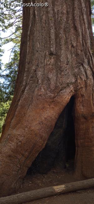 [P20] Frumusetea rezervației naturale Yosemite » foto by kmy
 - 
<span class="allrVoted glyphicon glyphicon-heart hidden" id="av1542630"></span>
<a class="m-l-10 hidden" id="sv1542630" onclick="voting_Foto_DelVot(,1542630,29438)" role="button">șterge vot <span class="glyphicon glyphicon-remove"></span></a>
<a id="v91542630" class=" c-red"  onclick="voting_Foto_SetVot(1542630)" role="button"><span class="glyphicon glyphicon-heart-empty"></span> <b>LIKE</b> = Votează poza</a> <img class="hidden"  id="f1542630W9" src="/imagini/loader.gif" border="0" /><span class="AjErrMes hidden" id="e1542630ErM"></span>