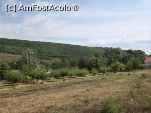 [P41] Mănăstirea Bogdănița » foto by adso
 - 
<span class="allrVoted glyphicon glyphicon-heart hidden" id="av1543354"></span>
<a class="m-l-10 hidden" id="sv1543354" onclick="voting_Foto_DelVot(,1543354,29444)" role="button">șterge vot <span class="glyphicon glyphicon-remove"></span></a>
<a id="v91543354" class=" c-red"  onclick="voting_Foto_SetVot(1543354)" role="button"><span class="glyphicon glyphicon-heart-empty"></span> <b>LIKE</b> = Votează poza</a> <img class="hidden"  id="f1543354W9" src="/imagini/loader.gif" border="0" /><span class="AjErrMes hidden" id="e1543354ErM"></span>