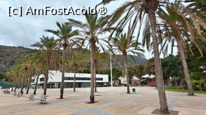 [P45] Promenada din Machico » foto by elenaadina
 - 
<span class="allrVoted glyphicon glyphicon-heart hidden" id="av1545763"></span>
<a class="m-l-10 hidden" id="sv1545763" onclick="voting_Foto_DelVot(,1545763,29450)" role="button">șterge vot <span class="glyphicon glyphicon-remove"></span></a>
<a id="v91545763" class=" c-red"  onclick="voting_Foto_SetVot(1545763)" role="button"><span class="glyphicon glyphicon-heart-empty"></span> <b>LIKE</b> = Votează poza</a> <img class="hidden"  id="f1545763W9" src="/imagini/loader.gif" border="0" /><span class="AjErrMes hidden" id="e1545763ErM"></span>