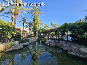 [P26] Parculetul cu pisici » foto by Mirinda
 - 
<span class="allrVoted glyphicon glyphicon-heart hidden" id="av1546035"></span>
<a class="m-l-10 hidden" id="sv1546035" onclick="voting_Foto_DelVot(,1546035,29453)" role="button">șterge vot <span class="glyphicon glyphicon-remove"></span></a>
<a id="v91546035" class=" c-red"  onclick="voting_Foto_SetVot(1546035)" role="button"><span class="glyphicon glyphicon-heart-empty"></span> <b>LIKE</b> = Votează poza</a> <img class="hidden"  id="f1546035W9" src="/imagini/loader.gif" border="0" /><span class="AjErrMes hidden" id="e1546035ErM"></span>