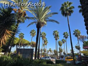 [P28] Zona amenajata langa plaja » foto by Mirinda
 - 
<span class="allrVoted glyphicon glyphicon-heart hidden" id="av1546037"></span>
<a class="m-l-10 hidden" id="sv1546037" onclick="voting_Foto_DelVot(,1546037,29453)" role="button">șterge vot <span class="glyphicon glyphicon-remove"></span></a>
<a id="v91546037" class=" c-red"  onclick="voting_Foto_SetVot(1546037)" role="button"><span class="glyphicon glyphicon-heart-empty"></span> <b>LIKE</b> = Votează poza</a> <img class="hidden"  id="f1546037W9" src="/imagini/loader.gif" border="0" /><span class="AjErrMes hidden" id="e1546037ErM"></span>