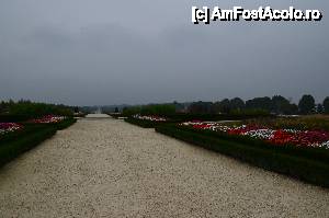 [P11] Torino, Venaria Reale. Giardino a Fiori. În capătul aleii te răcorești în aerul ozonat de o frumoasă fântână arteziană.  » foto by unq
 - 
<span class="allrVoted glyphicon glyphicon-heart hidden" id="av476420"></span>
<a class="m-l-10 hidden" id="sv476420" onclick="voting_Foto_DelVot(,476420,29456)" role="button">șterge vot <span class="glyphicon glyphicon-remove"></span></a>
<a id="v9476420" class=" c-red"  onclick="voting_Foto_SetVot(476420)" role="button"><span class="glyphicon glyphicon-heart-empty"></span> <b>LIKE</b> = Votează poza</a> <img class="hidden"  id="f476420W9" src="/imagini/loader.gif" border="0" /><span class="AjErrMes hidden" id="e476420ErM"></span>