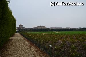 [P12] Torino, Venaria Reale. Giardino delle Rose, o bijuterie horticolă.  » foto by unq
 - 
<span class="allrVoted glyphicon glyphicon-heart hidden" id="av476421"></span>
<a class="m-l-10 hidden" id="sv476421" onclick="voting_Foto_DelVot(,476421,29456)" role="button">șterge vot <span class="glyphicon glyphicon-remove"></span></a>
<a id="v9476421" class=" c-red"  onclick="voting_Foto_SetVot(476421)" role="button"><span class="glyphicon glyphicon-heart-empty"></span> <b>LIKE</b> = Votează poza</a> <img class="hidden"  id="f476421W9" src="/imagini/loader.gif" border="0" /><span class="AjErrMes hidden" id="e476421ErM"></span>
