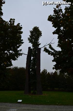 [P18] Torino, Venaria Reale. Il Giardino delle Sculture Fluide, Tra scorza e scorza (Printre coji și coaja) cea mai tare combinație de vegetați și metal pe care am văzut-o.  » foto by unq
 - 
<span class="allrVoted glyphicon glyphicon-heart hidden" id="av476427"></span>
<a class="m-l-10 hidden" id="sv476427" onclick="voting_Foto_DelVot(,476427,29456)" role="button">șterge vot <span class="glyphicon glyphicon-remove"></span></a>
<a id="v9476427" class=" c-red"  onclick="voting_Foto_SetVot(476427)" role="button"><span class="glyphicon glyphicon-heart-empty"></span> <b>LIKE</b> = Votează poza</a> <img class="hidden"  id="f476427W9" src="/imagini/loader.gif" border="0" /><span class="AjErrMes hidden" id="e476427ErM"></span>
