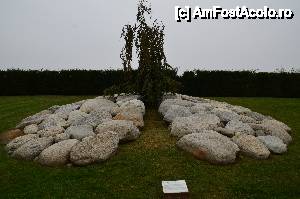 [P19] Torino, Venaria Reale. Il Giardino delle Sculture Fluide, Cervello di pietre. Arată ca un creier, nu? Probabil pomul reprezintă legătura acestuia cu corpul.  » foto by unq
 - 
<span class="allrVoted glyphicon glyphicon-heart hidden" id="av476428"></span>
<a class="m-l-10 hidden" id="sv476428" onclick="voting_Foto_DelVot(,476428,29456)" role="button">șterge vot <span class="glyphicon glyphicon-remove"></span></a>
<a id="v9476428" class=" c-red"  onclick="voting_Foto_SetVot(476428)" role="button"><span class="glyphicon glyphicon-heart-empty"></span> <b>LIKE</b> = Votează poza</a> <img class="hidden"  id="f476428W9" src="/imagini/loader.gif" border="0" /><span class="AjErrMes hidden" id="e476428ErM"></span>