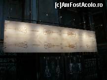 [P03] Fotografia giulgiului » foto by leonmaximilian
 - 
<span class="allrVoted glyphicon glyphicon-heart hidden" id="av271476"></span>
<a class="m-l-10 hidden" id="sv271476" onclick="voting_Foto_DelVot(,271476,29456)" role="button">șterge vot <span class="glyphicon glyphicon-remove"></span></a>
<a id="v9271476" class=" c-red"  onclick="voting_Foto_SetVot(271476)" role="button"><span class="glyphicon glyphicon-heart-empty"></span> <b>LIKE</b> = Votează poza</a> <img class="hidden"  id="f271476W9" src="/imagini/loader.gif" border="0" /><span class="AjErrMes hidden" id="e271476ErM"></span>