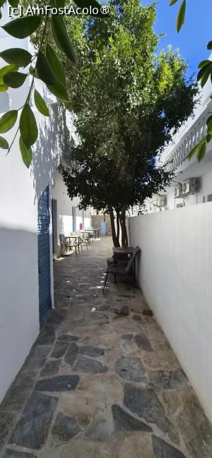 [P31] Foinikas Studios, patio-urile de pe partea intrării în camerele de la parter » foto by irinad
 - 
<span class="allrVoted glyphicon glyphicon-heart hidden" id="av1546372"></span>
<a class="m-l-10 hidden" id="sv1546372" onclick="voting_Foto_DelVot(,1546372,29457)" role="button">șterge vot <span class="glyphicon glyphicon-remove"></span></a>
<a id="v91546372" class=" c-red"  onclick="voting_Foto_SetVot(1546372)" role="button"><span class="glyphicon glyphicon-heart-empty"></span> <b>LIKE</b> = Votează poza</a> <img class="hidden"  id="f1546372W9" src="/imagini/loader.gif" border="0" /><span class="AjErrMes hidden" id="e1546372ErM"></span>