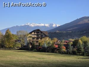 [P51] Vedere de la căruța noastră (zoom) » foto by crismis
 - 
<span class="allrVoted glyphicon glyphicon-heart hidden" id="av1549989"></span>
<a class="m-l-10 hidden" id="sv1549989" onclick="voting_Foto_DelVot(,1549989,29477)" role="button">șterge vot <span class="glyphicon glyphicon-remove"></span></a>
<a id="v91549989" class=" c-red"  onclick="voting_Foto_SetVot(1549989)" role="button"><span class="glyphicon glyphicon-heart-empty"></span> <b>LIKE</b> = Votează poza</a> <img class="hidden"  id="f1549989W9" src="/imagini/loader.gif" border="0" /><span class="AjErrMes hidden" id="e1549989ErM"></span>