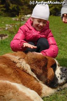 fotografii din vacanta la Pensiunea Tirol