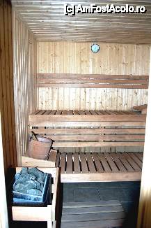 [P13 <small>[FOTO OFICIALĂ, DE PREZENTARE:] </small>] Pensiunea Casa David, sauna
